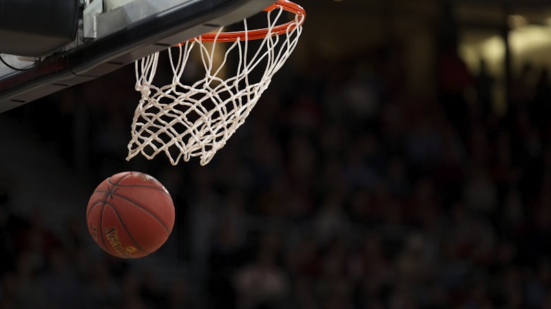NBA美国职业篮球联赛标志
